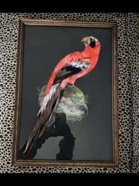 Large Original Vintage Real Feathers Bird Painting! Intricately Hand Layered!